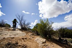 The Best Mountain Bike Trails in Park City – Something for Everyone